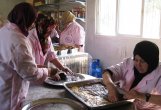 El derecho al trabajo de las mujeres rurales en la Franja. Integrando el EGyBDH en un contexto de mundo árabe y ayuda humanitaria 